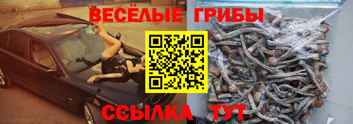Галлюциногенные грибы прущие грибы Альметьевск